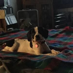 Meet your Posher, Cathy